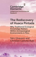 Cover: The Rediscovery of Huaca Pintada - Cambridge University Press