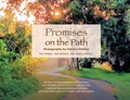 Cover: Promises On the Path - St. Petersburg Press