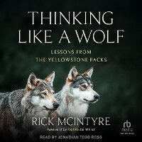 Enlarge image Cover: Thinking Like a Wolf - Tantor