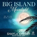 Cover: Big Island Moonlight - Tantor