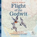 Cover: Flight of the Godwit - Recorded Books