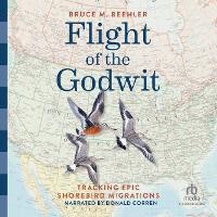 Enlarge image Cover: Flight of the Godwit - Recorded Books