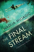 Cover: The Final Stream - Pioneer Publishing, LLC