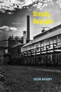 Cover: Steady Daylight - Louisiana State University Press