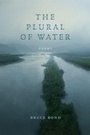 Cover: The Plural of Water - Zando - Hillman Grad Books