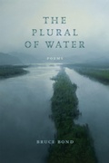 Cover: The Plural of Water - Zando - Hillman Grad Books