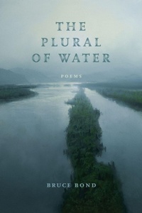 Enlarge image Cover: The Plural of Water - Louisiana State University Press