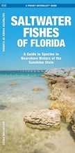 Cover: Saltwater Fishes of Florida - Waterford Press Ltd