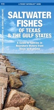 Cover: Saltwater Fishes of Texas & the Gulf States - Waterford Press Ltd