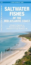 Cover: Saltwater Fishes of the Mid-Atlantic Coast - Waterford Press Ltd