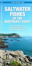Cover: Saltwater Fishes of the Northeast Coast - Waterford Press Ltd