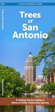 Cover: San Antonio Trees - Waterford Press