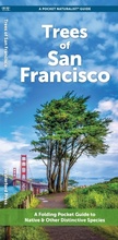 Cover: San Francisco Trees - Waterford Press