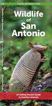 Cover: San Antonio Wildlife - Waterford Press