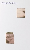 Cover: Art Now: Hylozoic/Desires - Tate Publishing