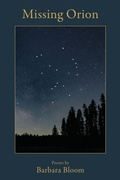 Cover: Missing Orion - SHANTI ARTS LLC