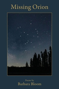 Enlarge image Cover: Missing Orion - SHANTI ARTS LLC