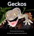 Cover: Geckos - AO Press