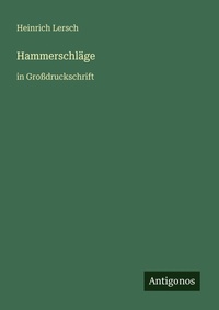 Enlarge image Cover: Hammerschlaege - Antigonos Verlag