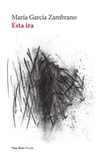 Cover: Esta ira - VASO ROTO EDICIONES