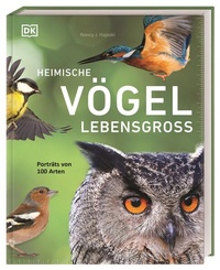 Bild vergrößern Bild: Heimische Vögel lebensgroß - Dorling Kindersley Verlag