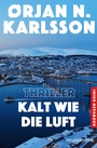 Cover: Kalt wie die Luft - Pendragon