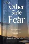 Cover: The Other Side of Fear - Carrie J Myers
