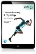 Cover: Human Anatomy & Physiology, Global Edition - Pearson Education Limited