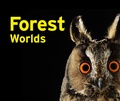 Cover: Forest Worlds - Klartext