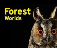 Enlarge image Cover: Forest Worlds - Klartext