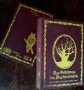 Cover: Im Schatten der Hexen VIII - Geistm&uuml;hle