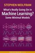 Bild: What's Really Going On in Machine Learning? Some Minimal Models - Wolfram Media Inc