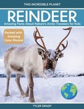 Cover: Reindeer - Dylanna Publishing, Inc.