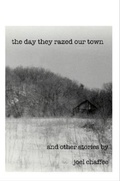 Cover: The Day They Razed Our Town - Charity Case Books