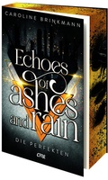 Cover: Echoes of Ashes and Rain - Die Perfekten - ONE