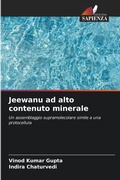 Cover: Jeewanu ad alto contenuto minerale - Edizioni Sapienza