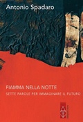 Cover: Fiamma nella notte - Ares