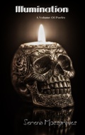 Cover: Illumination - Fae Corps Publishing