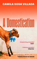 Cover: A Domestication - Virago Press