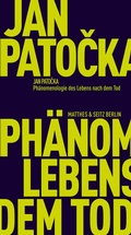 Cover: Ph&auml;nomenologie des Lebens nach dem Tod - Matthes & Seitz Berlin