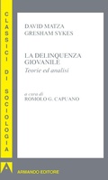 Cover: La delinquenza giovanile - Armando Editore