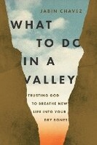 Enlarge image Cover: What to Do in a Valley - Thomas Nelson Publishers