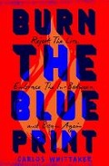 Cover: Burn the Blueprint - Thomas Nelson Publishers
