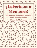 Cover: !Laberintos a Montones! - Life is a Story Problem LLC