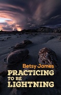 Cover: Practicing to Be Lightning - Santa Fe Writers Project