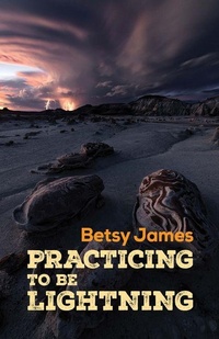 Enlarge image Cover: Practicing to Be Lightning - Santa Fe Writers Project