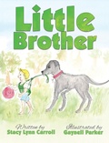 Cover: Little Brother - Pink Frog Press LLC