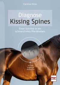 Bild vergrößern Bild: Diagnose Kissing Spines - Müller Rüschlikon