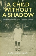 Cover: A Child Without a Shadow - Lemon Soul