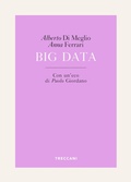 Cover: Big Data - Treccani